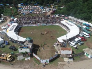 Kafkasör boğa güreşleri renkli görüntülere sahne oldu