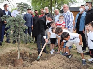 Toplu sünnet şöleni sonrasında fidanlar toprakla buluştu