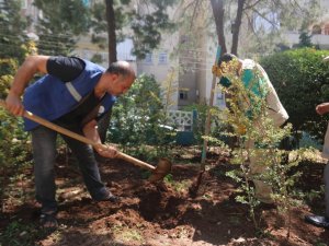 Haliliye’de parklar yenileniyor