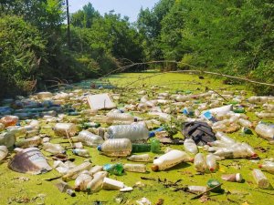 Edirne’de pes dedirten görüntüler
