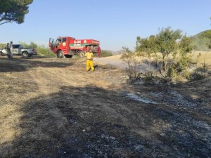 Deliçay köyünde orman yangını büyümeden söndürüldü