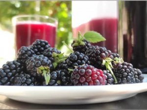 Köylülerin böğürtlen reçeli mesaisi