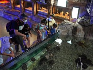 Keçiören’de hafta sonunun vazgeçilmezi deniz dünyası