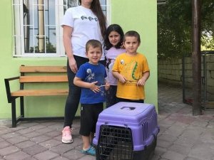 Minik doğa severlerin bulduğu kirpi, bakımı sonrası doğaya bırakıldı