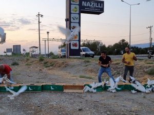 9 asırlık kuşlar kupa için kanat çırptı