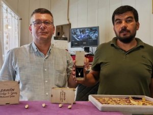 Çam fıstığı kozalağını altın kolyeye dönüştürdüler