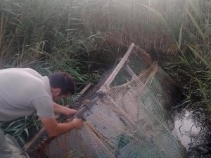 Yasa dışı avcılıkta kullanılan ördek kafesleri imha edildi