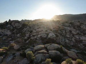 Türkiye’nin en yaşlı kayaları yangından kurtuldu