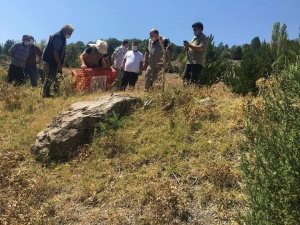 Kütahya’da bin kınalı keklik doğa ile buluştu