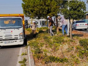 Kahramanmaraş’ta yeşil alanlarda bakım çalışması