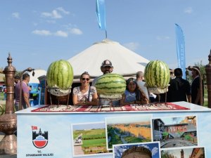 Diyarbakır Büyükşehir Belediyesi Ahlat Otağında
