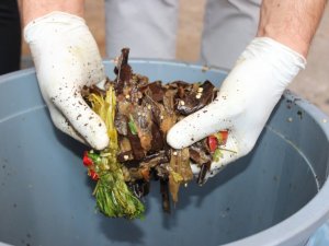 Hatay’da evsel atıklar kompost oluyor