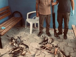 Yaban hayvanlarını avlayan kişiye 28 bin 491 lira ceza