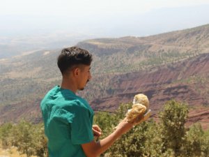 Tedavileri tamamlanan 5 şahin, 2 baykuş doğaya bırakıldı