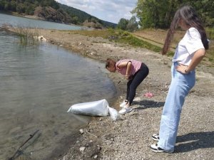 Sungurlu’da göletlere 14 bin sazan yavrusu bırakıldı