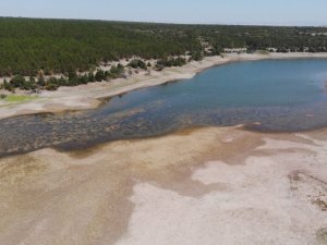 Musaözü Göleti kuraklığın pençesinde