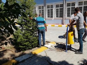 Pansiyon yapılacak alandaki ağaçlar nakil edildi