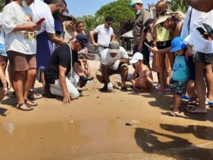 Didim’i tercih eden caretta carettaların yavruları denizle buluştu