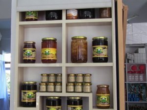 Küresel iklim değişikliği ve afetlerden en çok etkilenen arılar oldu