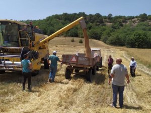 Kütahya’da yerli ve milli tohum seferberliği
