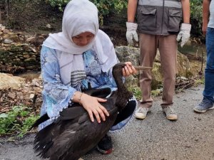 Müzeyyen öğretmenin duyarlılığı karaleyleğin hayatını kurtardı
