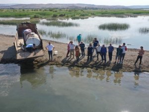 Çorum’da göletlere 944 bin balık yavrusu bırakıldı