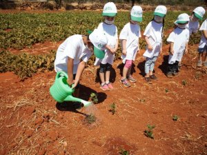 Çocuklar, Antalya Orman Çiftliğinde fidanları toprakla buluşturdu