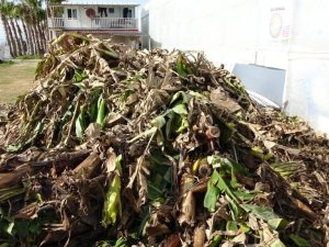 Sera atıklarına çözüm için hazırlanan YEVDES Projesi değerlendirildi