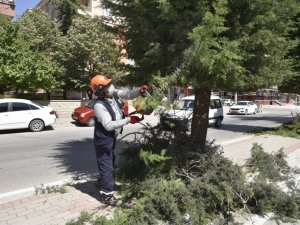 Selçuklu Belediyesinde ağaç budama mesaisi