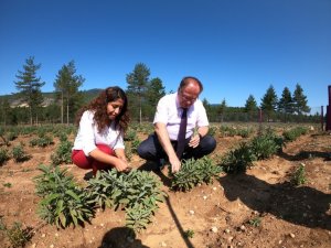 Kaymakam Türköz, Tıbbi Aromatik ve Bitki Bahçesini gezdi