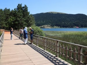 Abant Tabiat Parkı yaz sezonunu yüzde 90 dolulukla geçiriyor