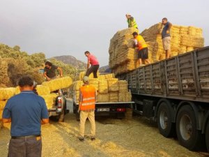 Bodrum Belediyesi yangın mağdurlarına destek olmaya devam ediyor