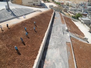 Eyyübiye Belediyesi ilçeye yeni yeşil alanlar kazandırıyor