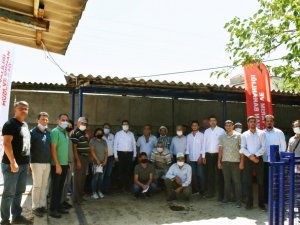 Yangın mağduru çiftçilere havyan desteği