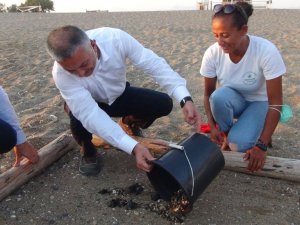 Deniz Kaplumbağaları Vali Yazıcı’nın elleriyle denizle buluştu
