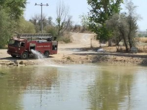 Kınalı koçlar için 200 tanker su taşıdılar