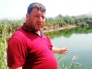 Koçarlı’da toplu balık ölümleri yaşanıyor