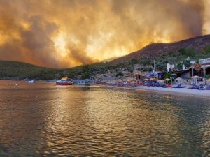 Çökertme Koyu yeniden eski günlerine kavuşuyor