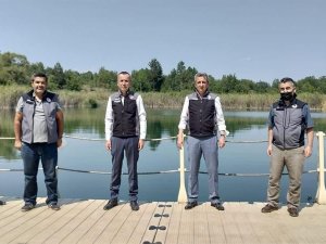 Karabük’te 30 bin yavru sazan balık gölle buluştu