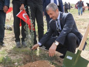 Şahinbey Belediyesi yeşil alan miktarını arttırdı