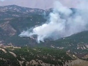 Tunceli’deki orman yangını devam ediyor