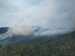 Valilikten yangına ilişkin açıklama