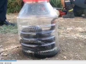 Mersin’de evde yakalanan yılan doğaya bırakıldı