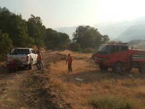 Ülke genelindeki 6 orman yangını kontrol altında