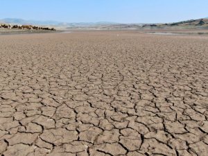 Suların çekildiği baraj alarm veriyor, yürüyüş alanına döndü