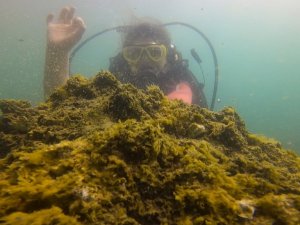 Van Gölü’ndeki mikrobiyalitlere dalış