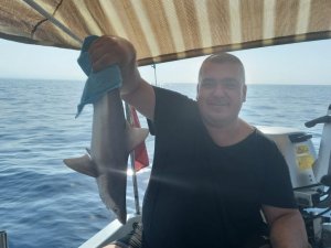 Balıkçı ağına takılan yavru köpek balığı kurtarılarak denize bırakıldı