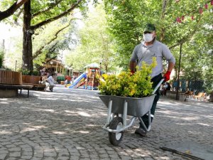 Çankaya parklarında sonbahar hazırlığı