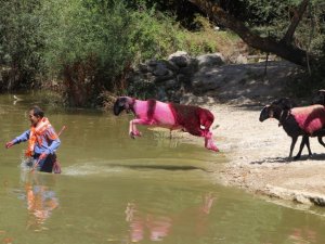 Asırlık yarış ödülle sona erdi