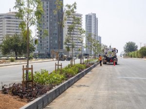 Mersin’de 4. Çevre Yolunda peyzaj çalışmalarına başlandı
